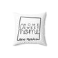 Home Sweet Home New Mexico Decorative Pillow | Gift For Her | Home Decor | State Gift | Customized State Pillow