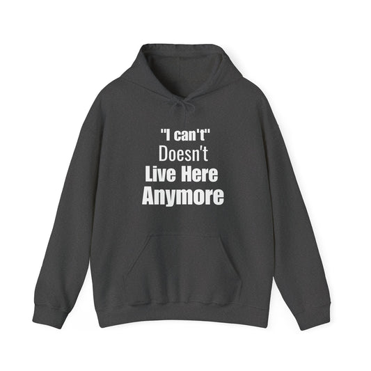 I Can't Quote Motivational Hoodie | Motivational Gift For Her | Inspirational Quote