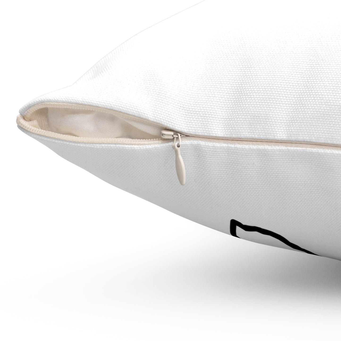 Home Sweet Home Texas Decorative Pillow | Gift For Her | Home Decor | State Gift | Customized State Pillow